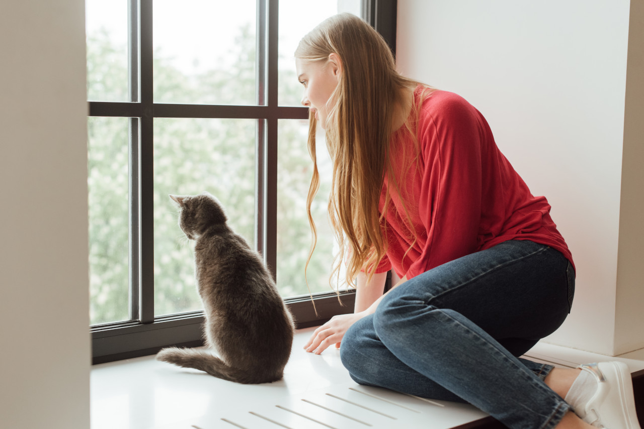 Les dernières tendances en menuiserie aluminium : design et fonctionnalités